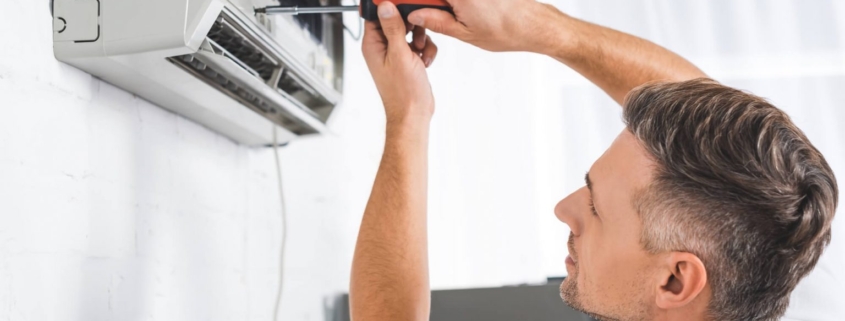 Delice Klima Tamircisi